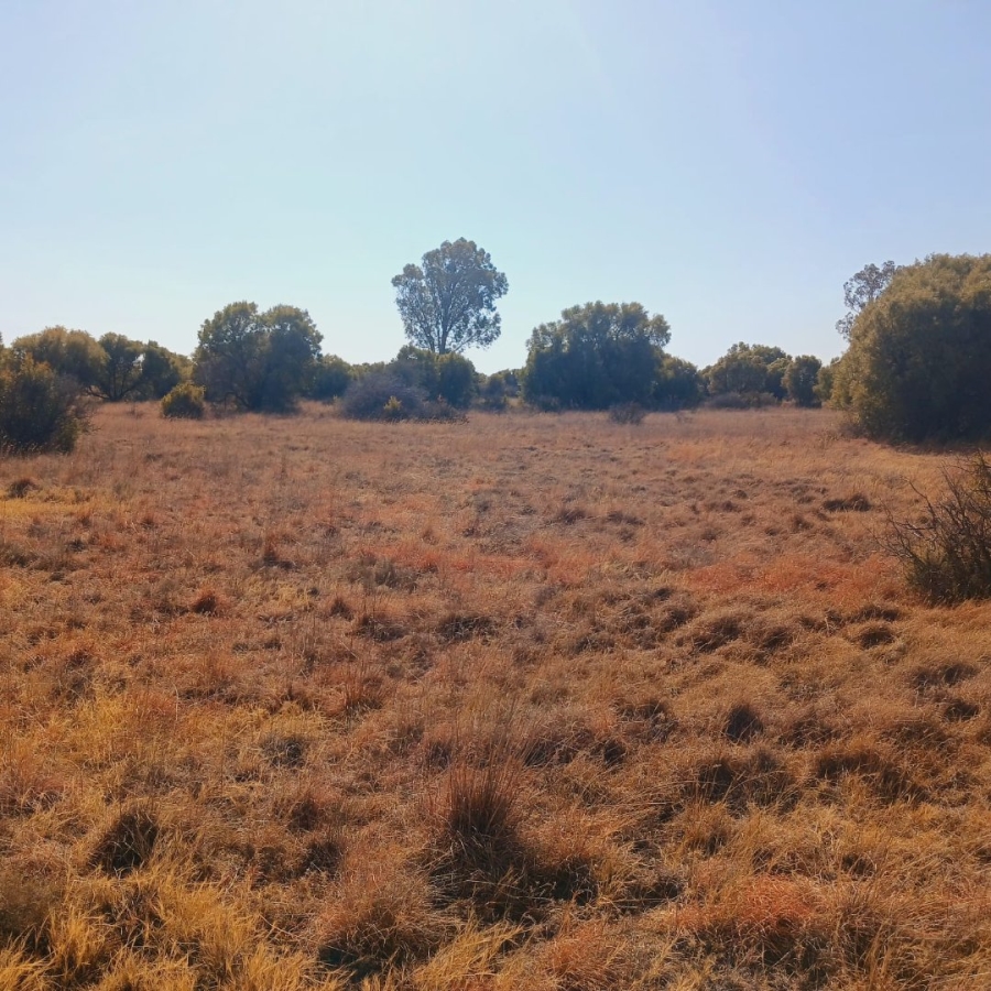  Bedroom Property for Sale in Bloemhof Rural North West